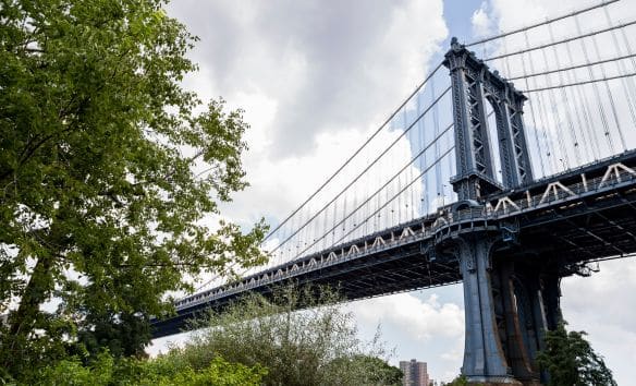 Professional commercial cleaning in Admirals Row Brooklyn